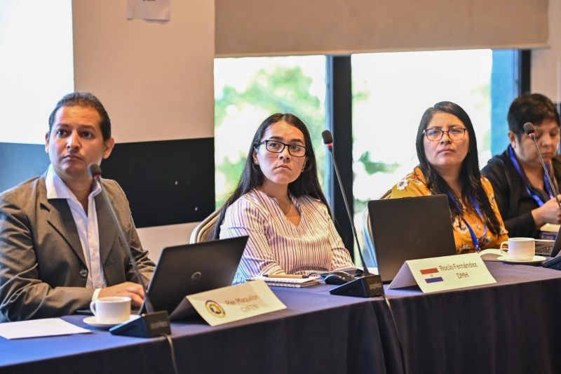 Regional Workshop on Climate Services in Asuncion